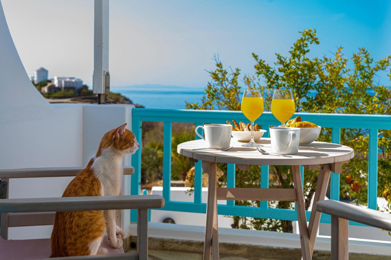 Aegean Dream Apartments Tinos Exterior photo